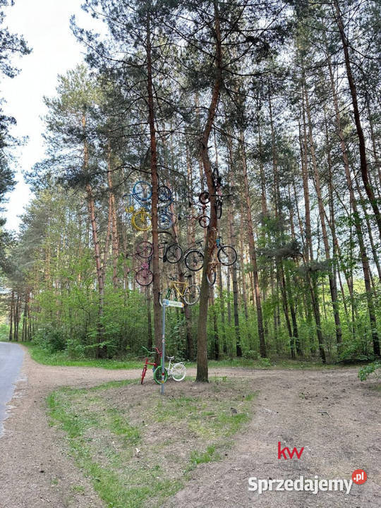 Działka do sprzedania 705m2 Wierzchlas