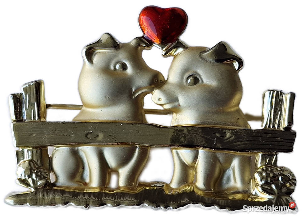 DANECRAFT ARTYSTYCZNA BROSZKA VINTAGE ZAKOCHANE Częstochowa