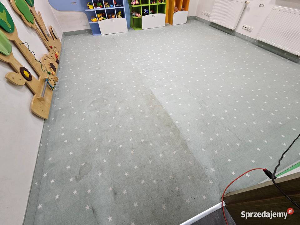 Pranie tapicerki meblowej pranie dywanów pranie Usługi pomorskie Gdańsk