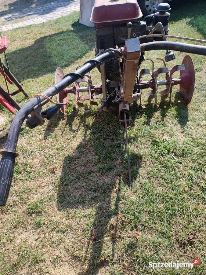 Traktorek dzik minitraktorek glebogryzarka Terespol