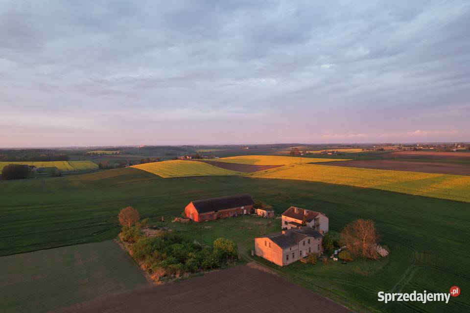 Działka siedliskowa o powierzchni 0,70 ha