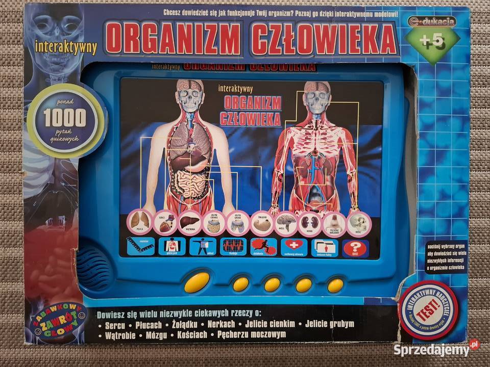 Interaktywny organizm człowieka