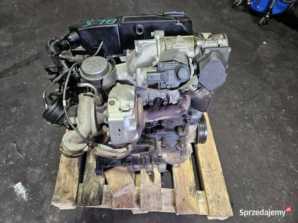 Uszkodzony Silnik VW BLS 19 TDI 105 Zgorzelec