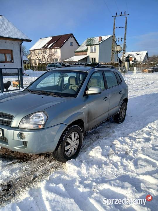 Hyundai Tucson 20 CRDI Dolice