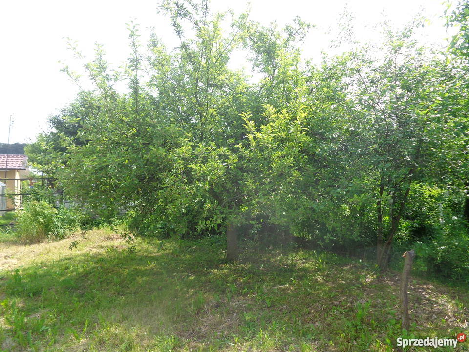 Sprzedam Ogródek Działkowy 400m2 budka studnia z Nysa sprzedam