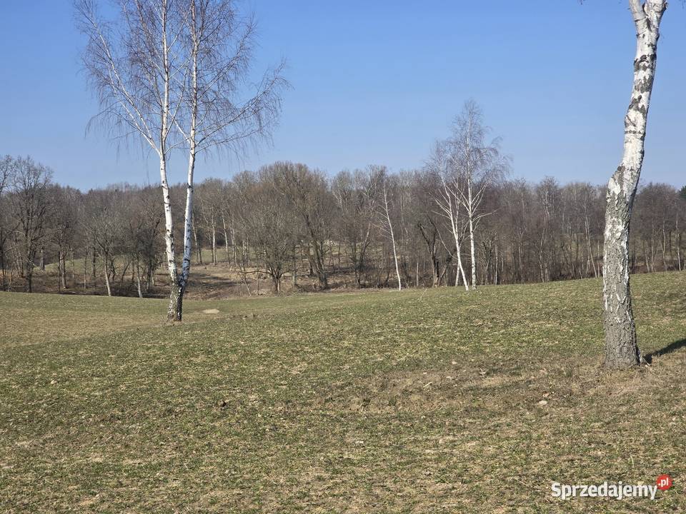 Działka z panoramą na jezioro warmińsko-mazurskie Dąbrówno