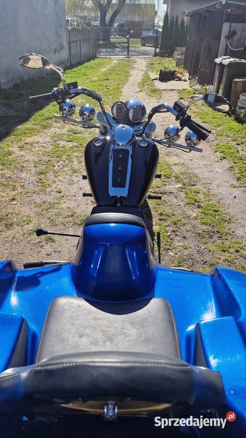 Trajka Trike firmy Fecht 16 Rok produkcji 1990 Pozostałe Bralin