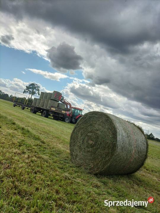 Sianokiszonka Możliwość transportu Poddębice