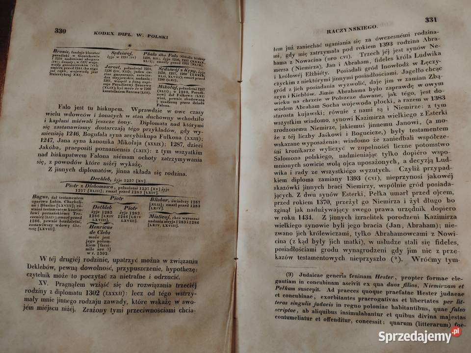 Rozbiory dzieł obejmujące Dzieje J Lelewela Iwno