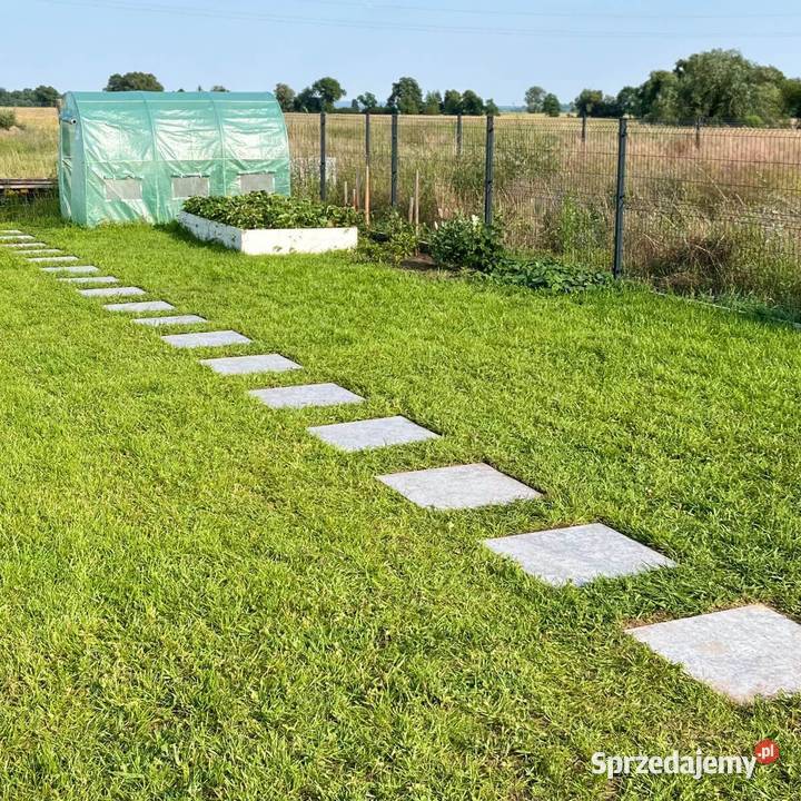 Płytki Wapień L828 płomieniowany i szczotkowany Lębork