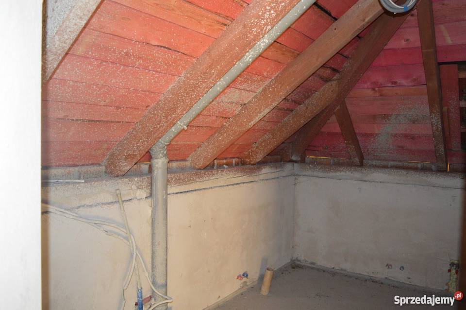 Wyjątkowy dom jednorodzinny z dużą działką piwnica Kornatka