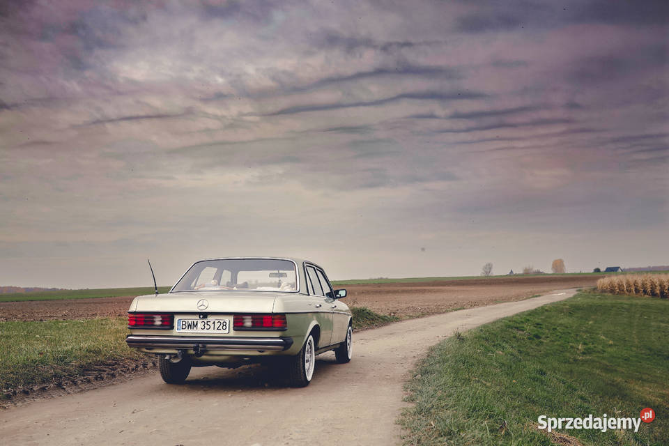 Mercedes w123 Czyżew