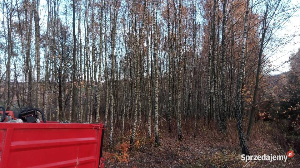 Drewno opałowe kominkowe