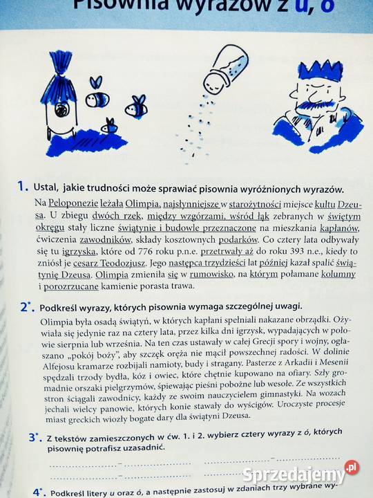 Ortografia w gimnazjum Stypka polski antykwariat Warszawa sprzedam