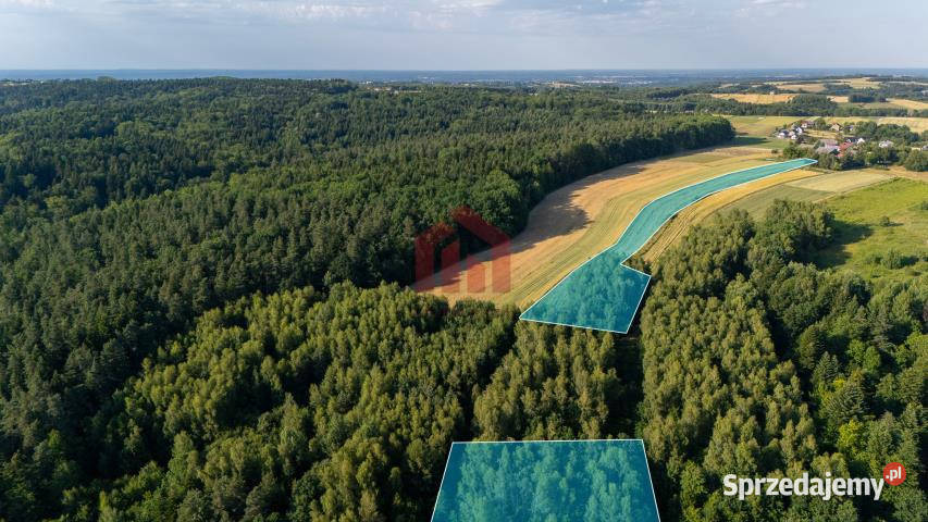 Działka Gnojnica 13000m2 13000m2 podkarpackie