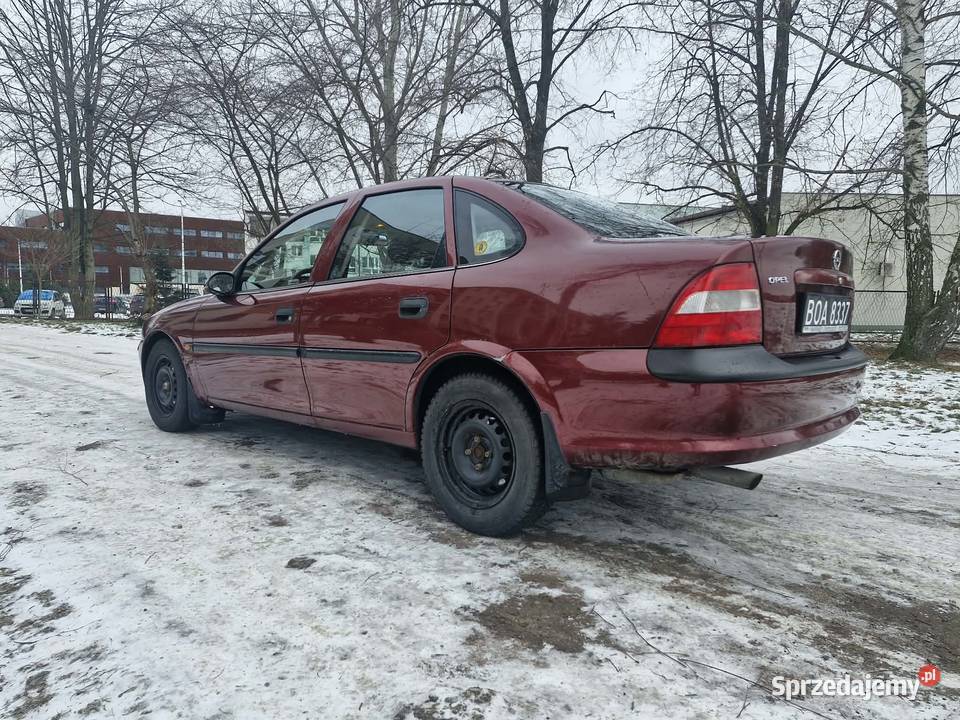 Zadbany opelek Oświęcim