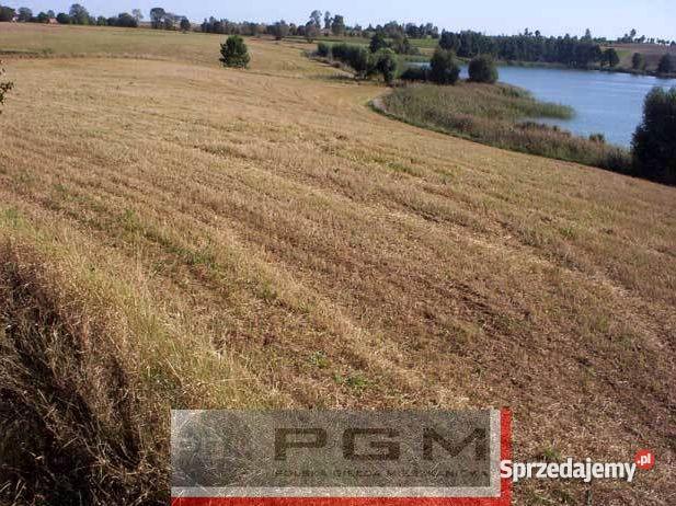 Działki Wieldządz 1500m2 Płużnica