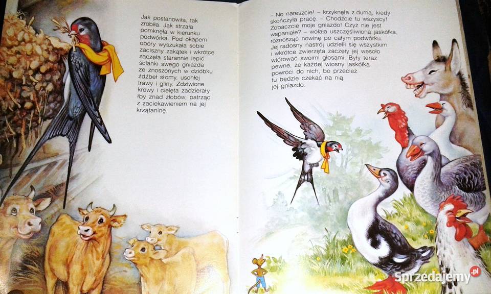 Powrót jaskółki Bajki z wiejskiego podwórka Chełm