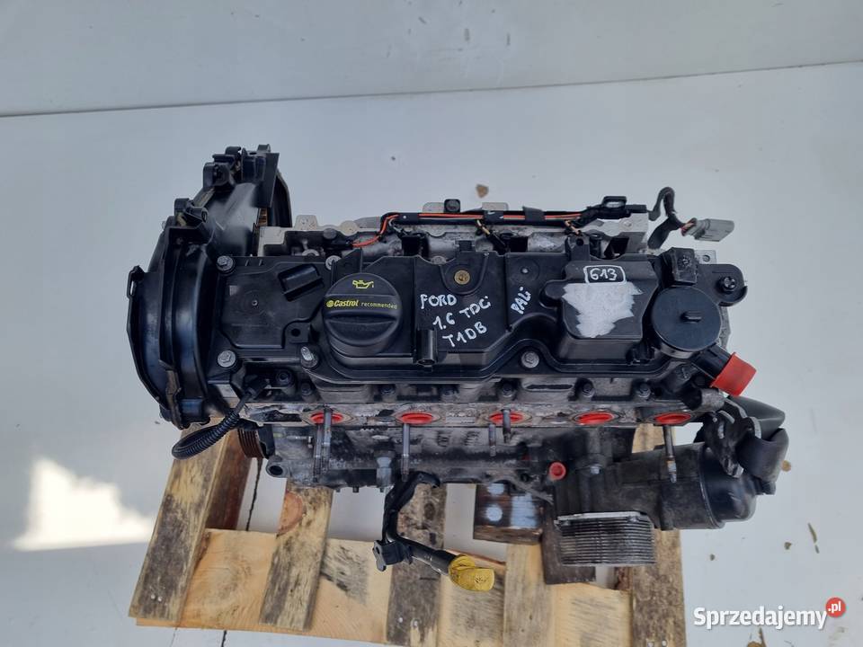 SILNIK Ford C C II 16 TDCI 115 T1DA T1DB Rudka