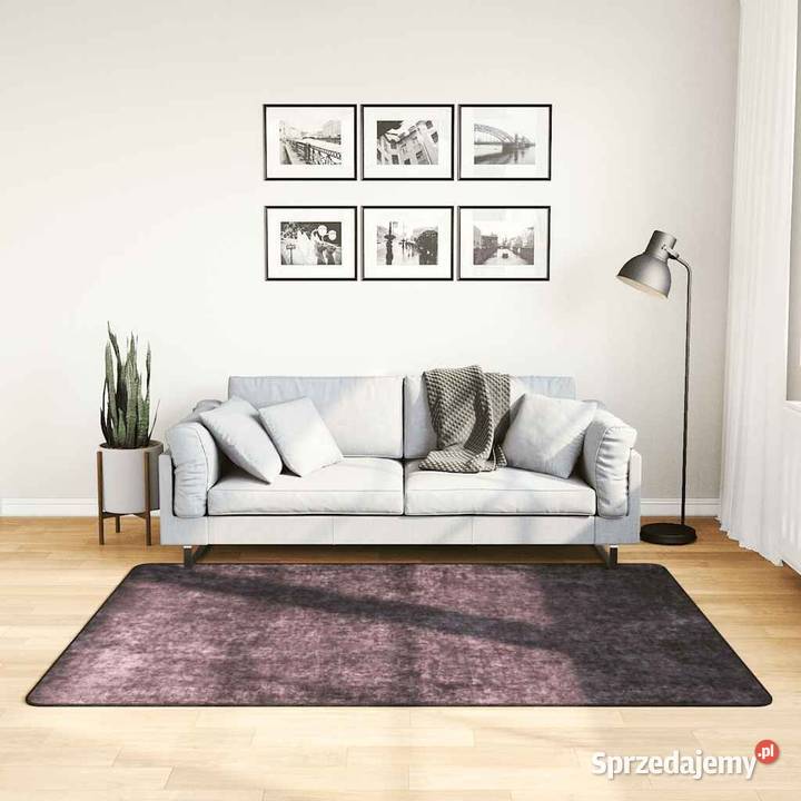 vidaXL Dywan możliwość prania 120x180 361188 Warszawa