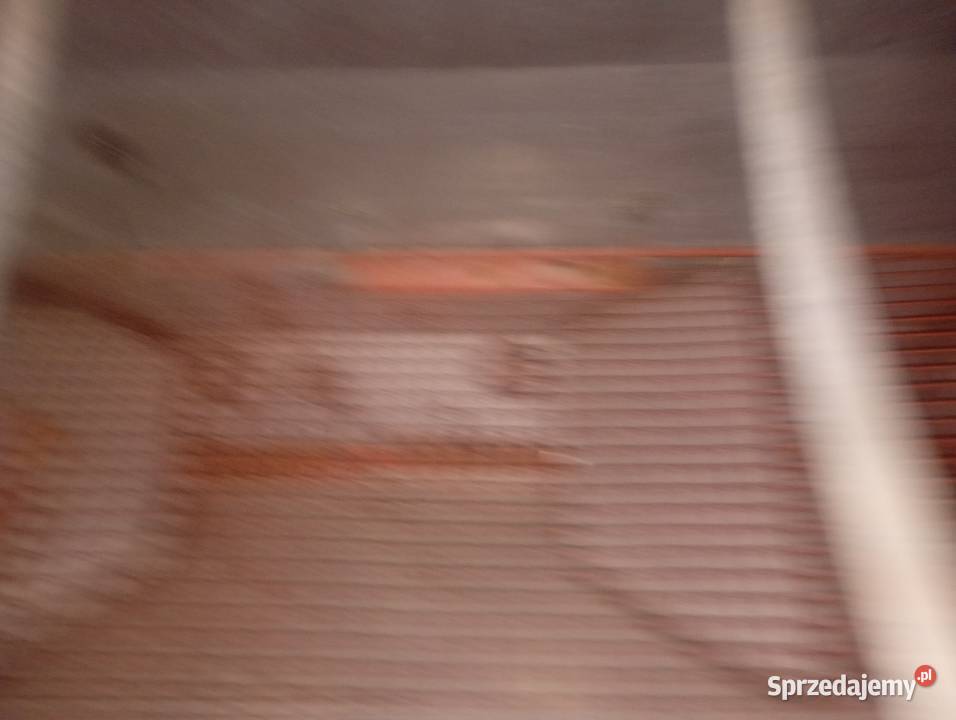 Sprzedam siewnik do kukurydzy 6 rzędowy świętokrzyskie Ślęcin