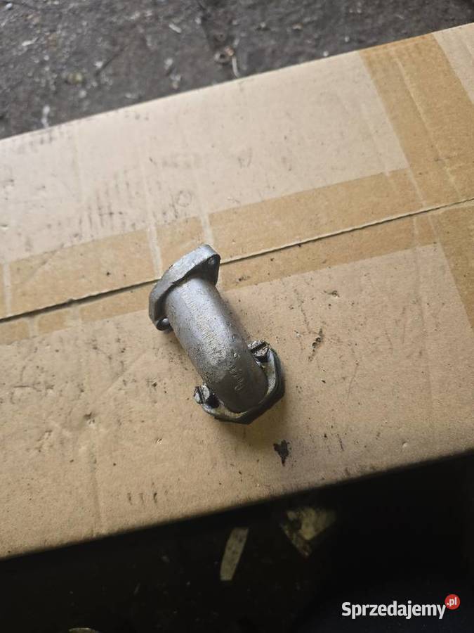 Krociec jawka lubuskie Gorzów Wielkopolski