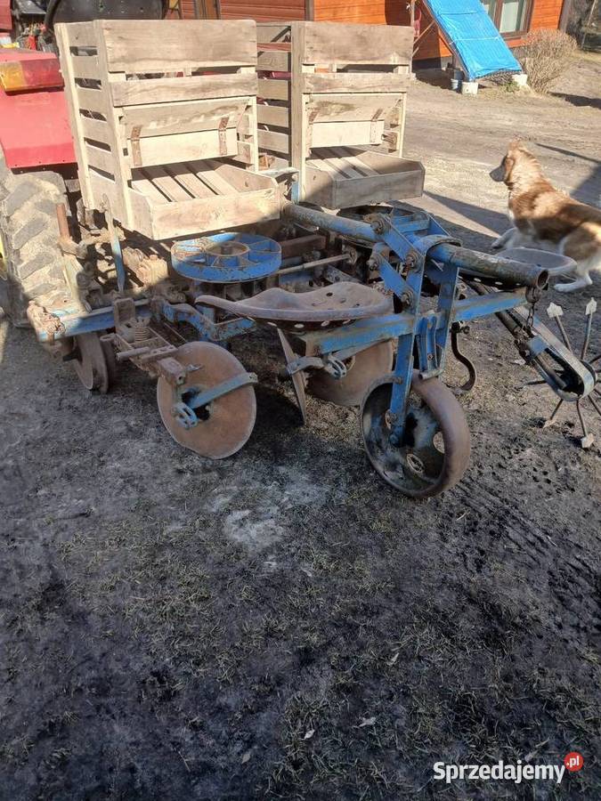 Sadzarka do ziemniaków podkiełkowanych Rybie