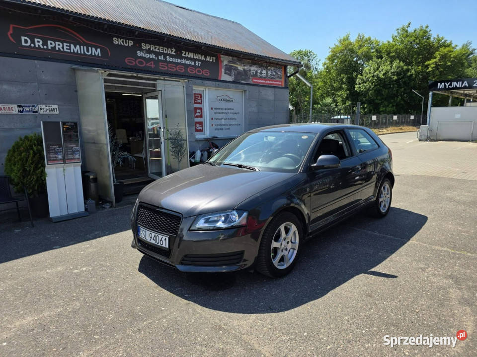 Audi A3 3drzwiowe 16 MPI 102 Daylight LED Xenon A3 Słupsk sprzedam