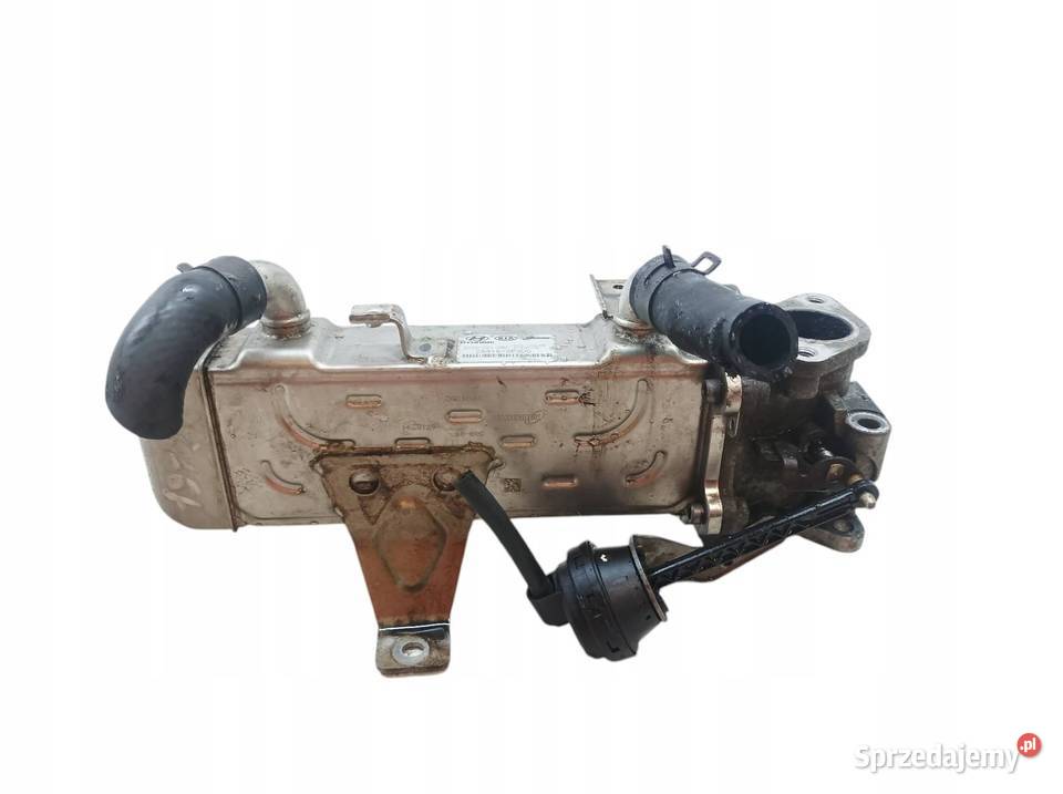 CHŁODNICA SPALIN 284162F300 20 CRDI Hyundai ix35 świętokrzyskie