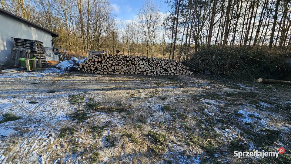 Drewno opałowe Opał świętokrzyskie Wodzisław sprzedam
