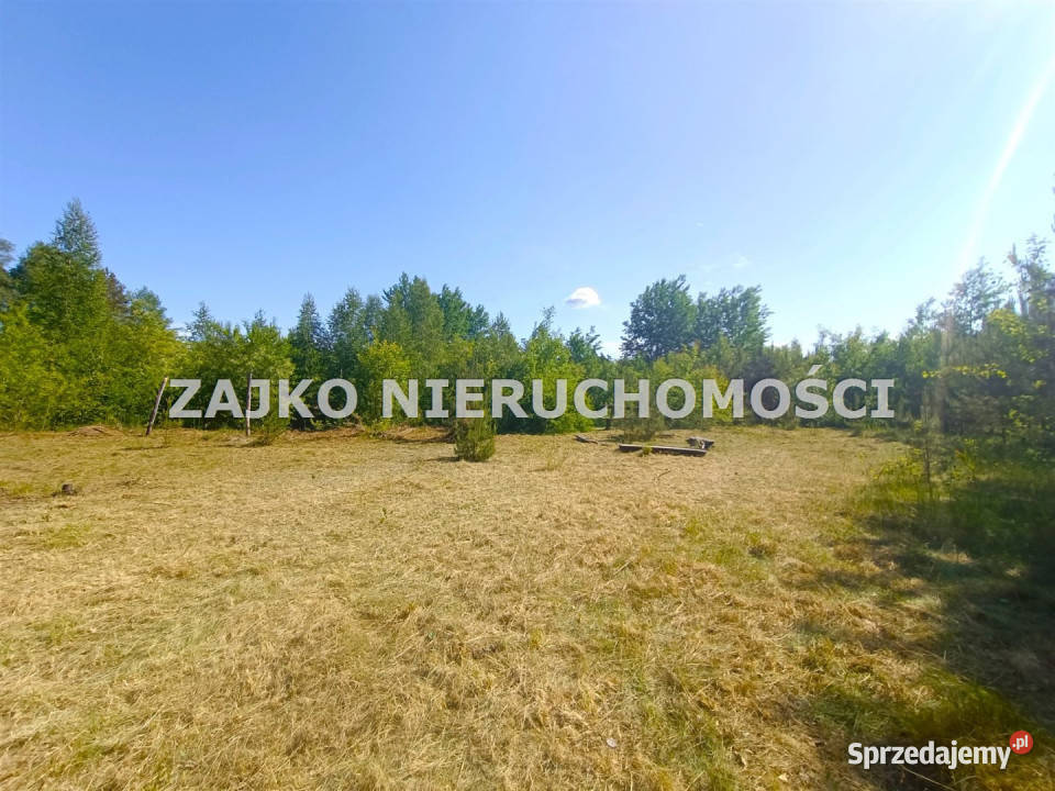Do sprzedaży działka Nowinka 12445m2 Sprzedajemy.pl