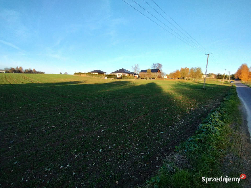 sprzedaży działki Panieńszczyzna 1836m2 217zł/m2 lubelskie sprzedam