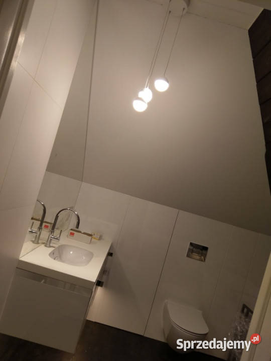 Sprzedam dom 1148m2 Rajszew