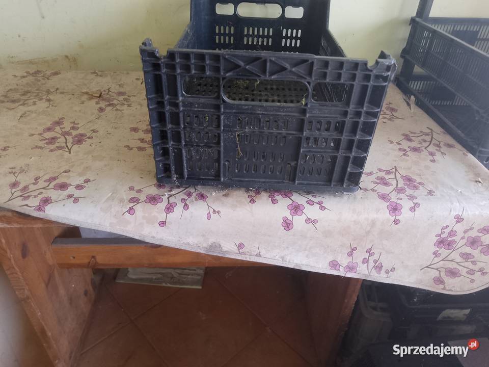 Skrzynki plastikowe Gdańsk