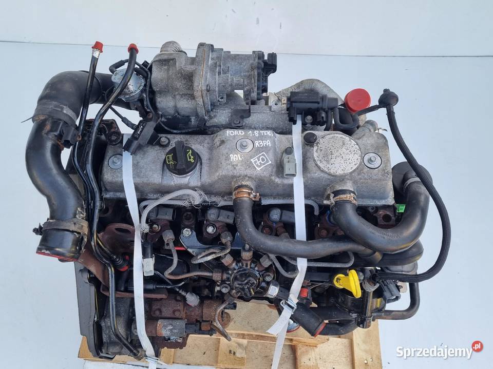 SILNIK KOMPLET Ford Tourneo Connect 18 TDCI 90 Rudka