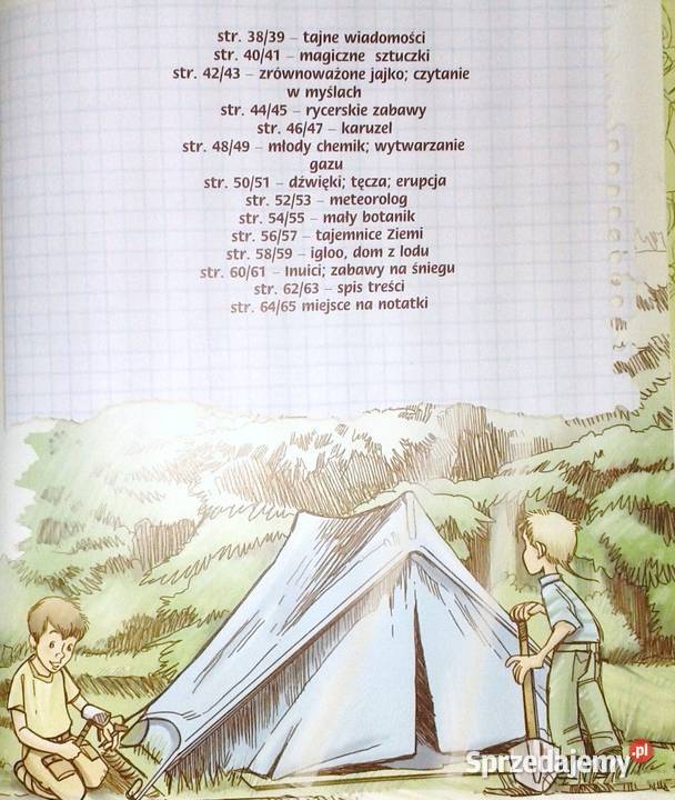 Dziennik przygód chłopaków Opracowanie zbiorowe