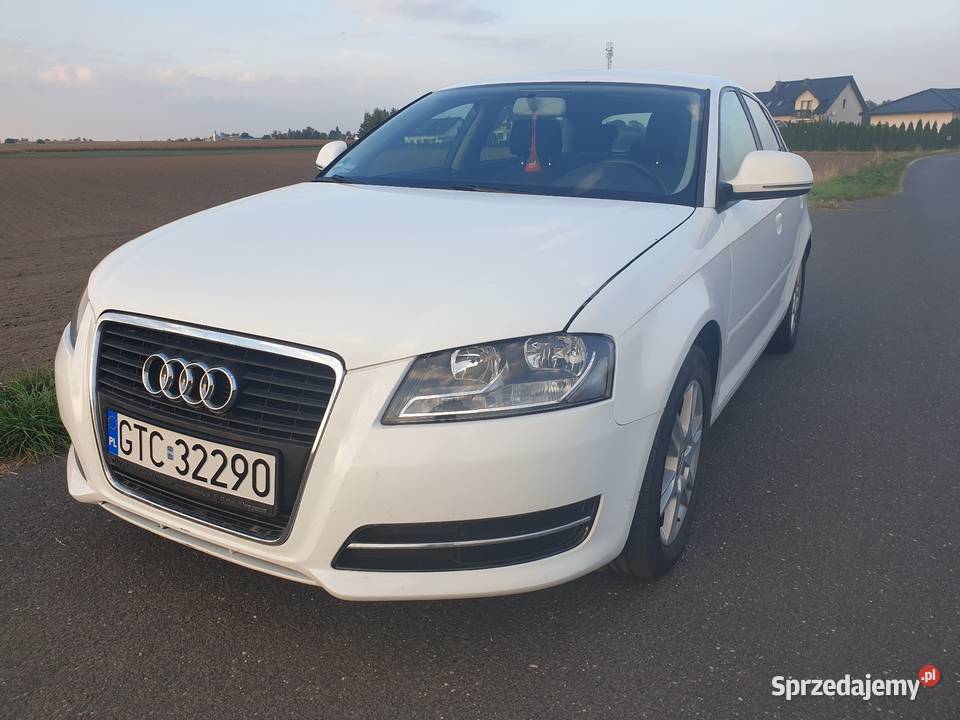 Audi A3 II 8P 14T 2009 144 SPORTBACK benzyna Bydgoszcz sprzedam