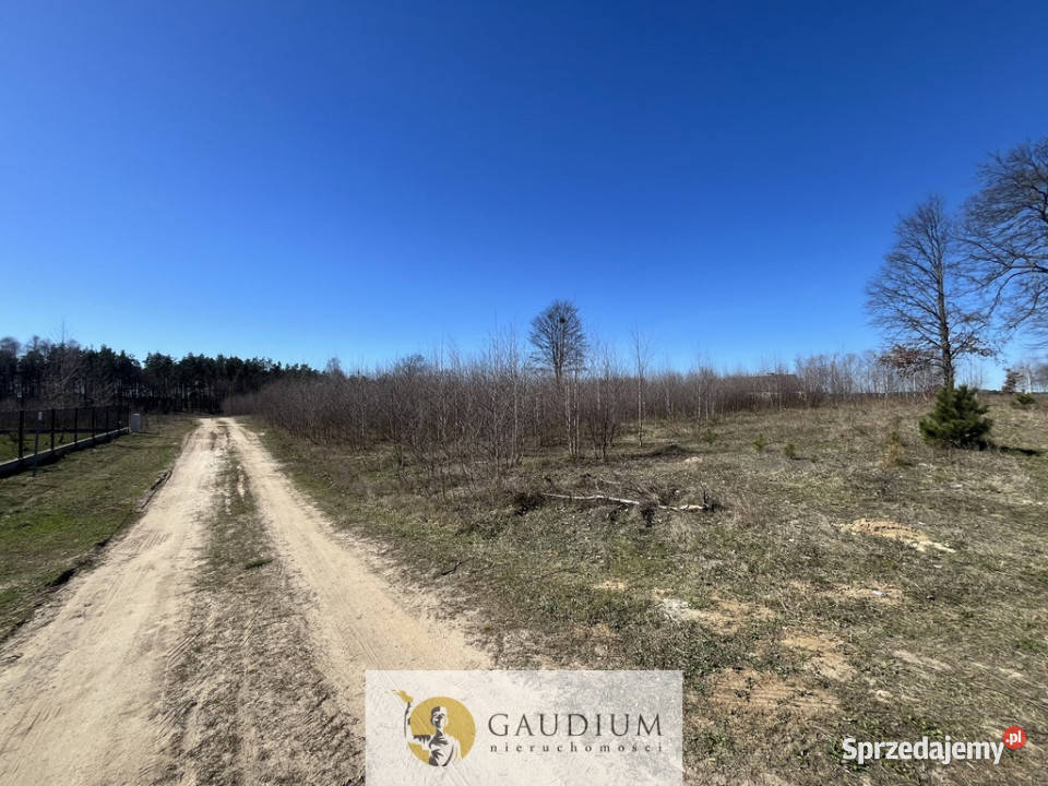 Działka pod budowę domu I 3104 m2 I gm Lubichowo Lipinki Królewskie