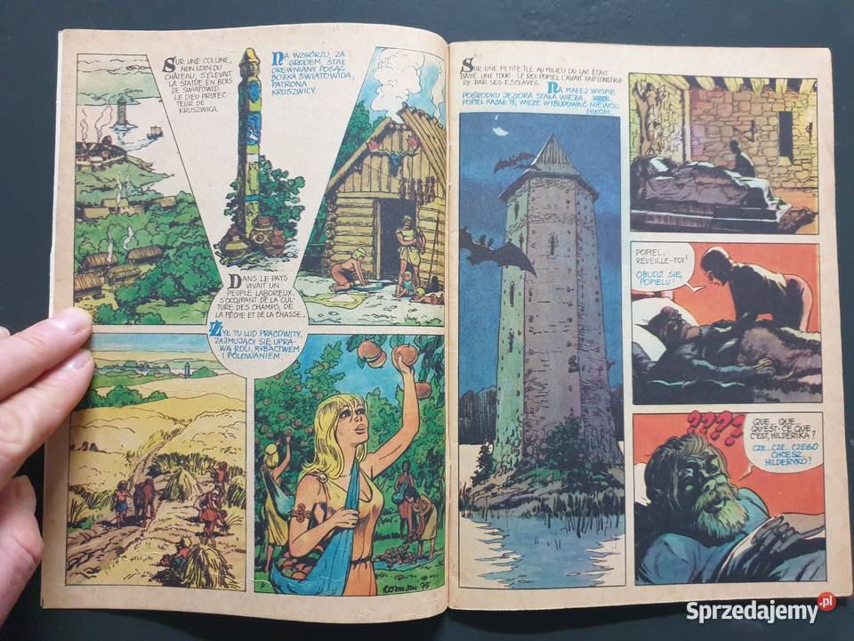 Opowieść o Popielu i Myszach jęz francuski