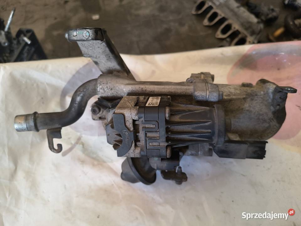 Chłodnica spalin EGR Peugeot 308 508 Citroen 16 Strzałków sprzedam