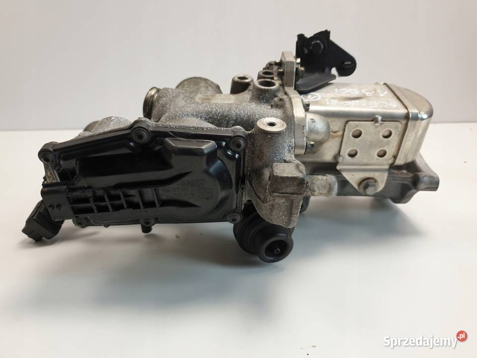 Renault Scenic III 19 DCI ZAWÓR EGR chłodnica Rudka