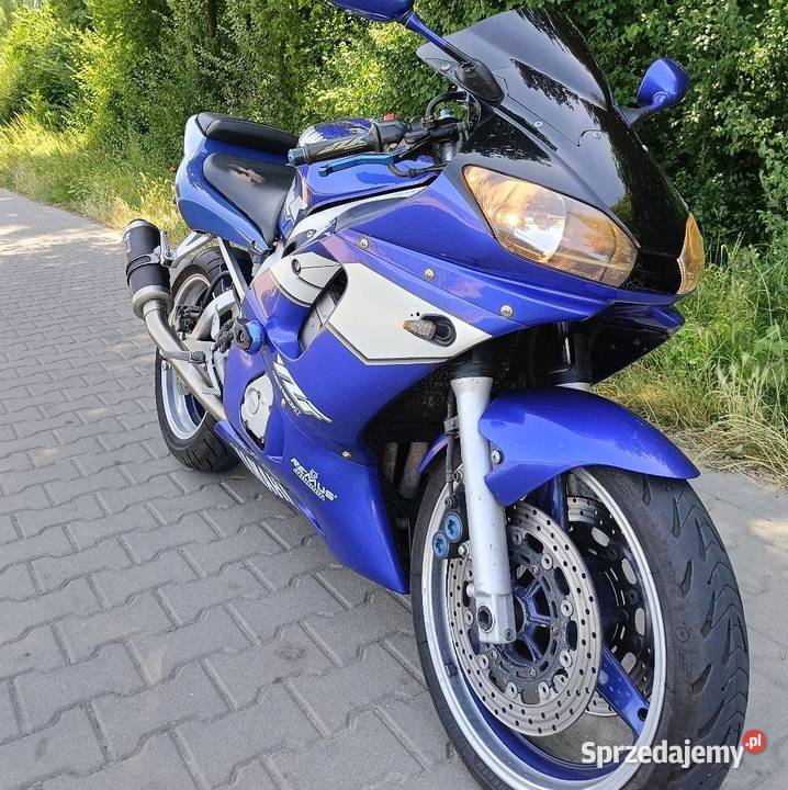 Yamaha R6 Dobrzyca
