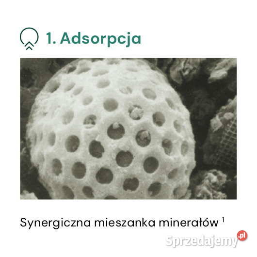 Mycofix Plus Dairy krów Biomin Strzelce Wielkie