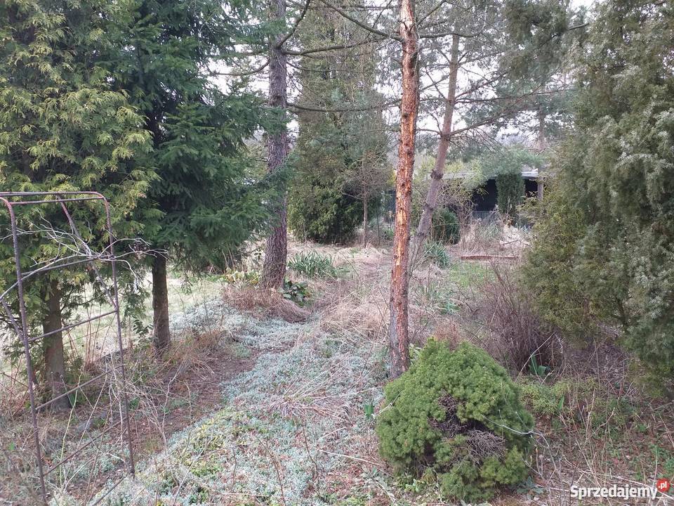 Ogród działkowy 380 m2 Bytom Odrzańska ROD śląskie