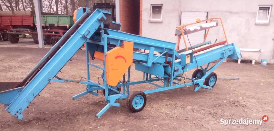 Sortownik ziemniaków Puck Opatówek