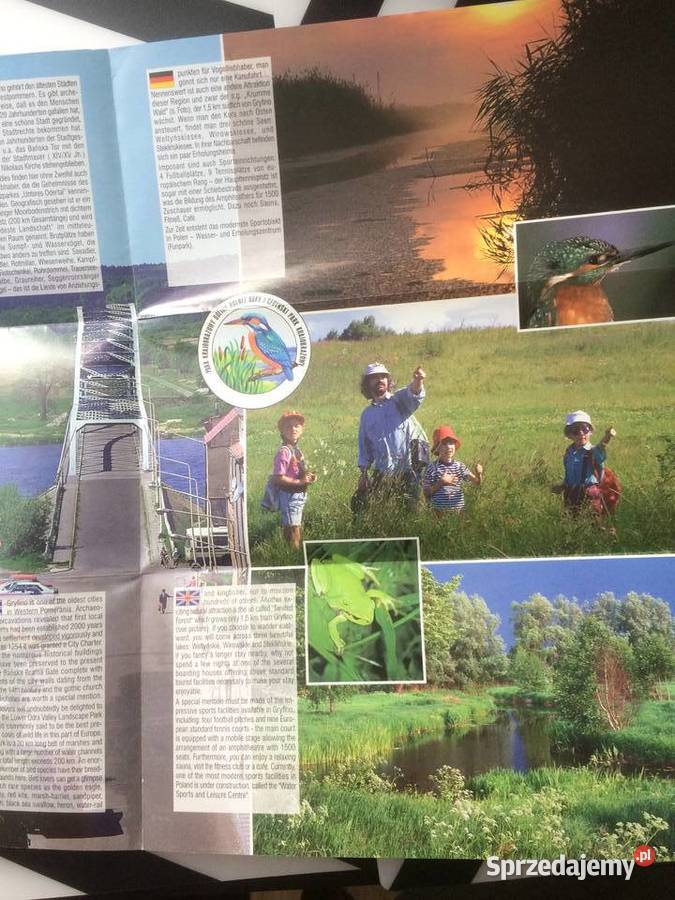 3561 Gryfino zachodniopomorskie Szczecin