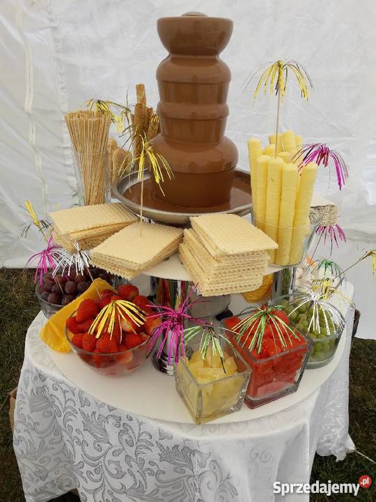 Wypozyczalnia namiotow namioty bankietowe Ryki lubelskie