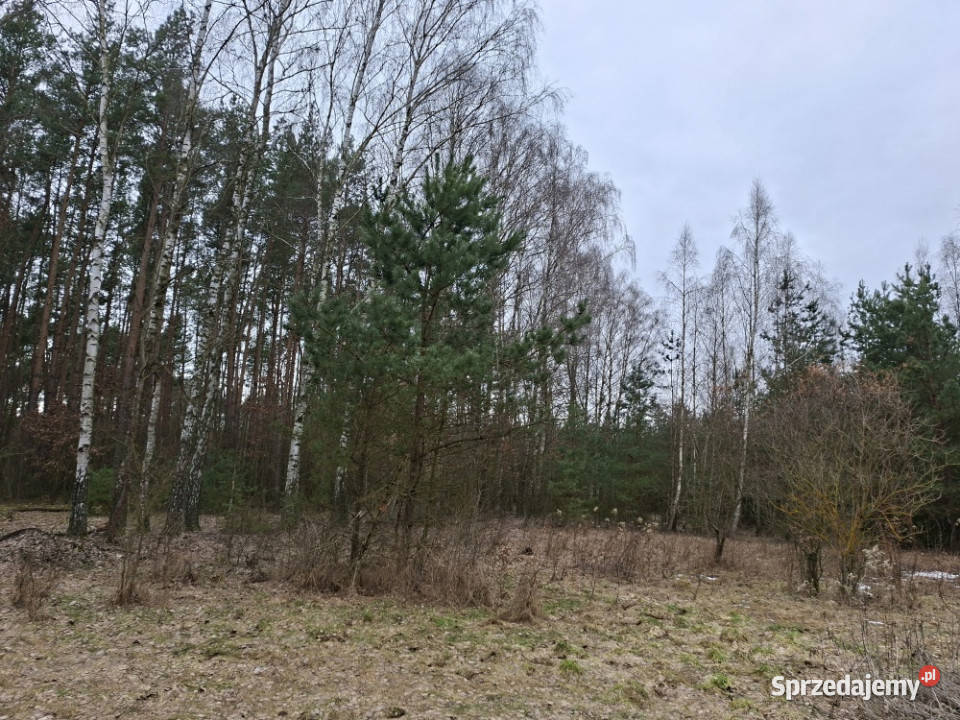 Syndyk sprzeda udział 38 w prawie własności 55698m2