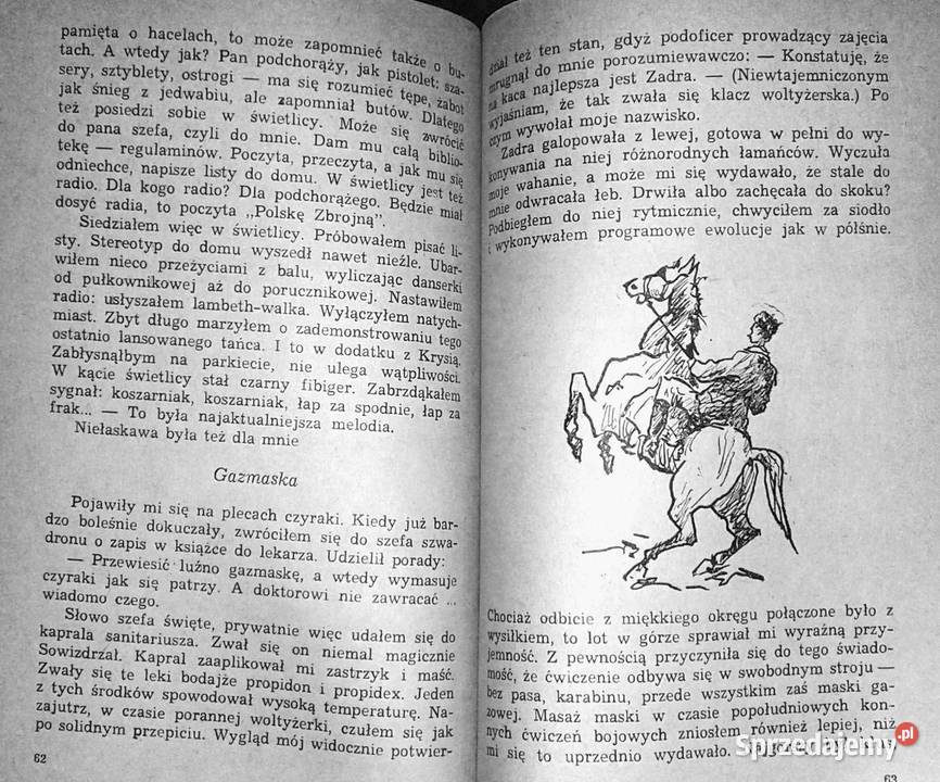 Dowolnie na koń Jan Janiszewski Chełm