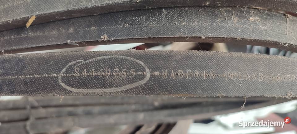 Pasek klinowy hedera varifeed Holland cx tc